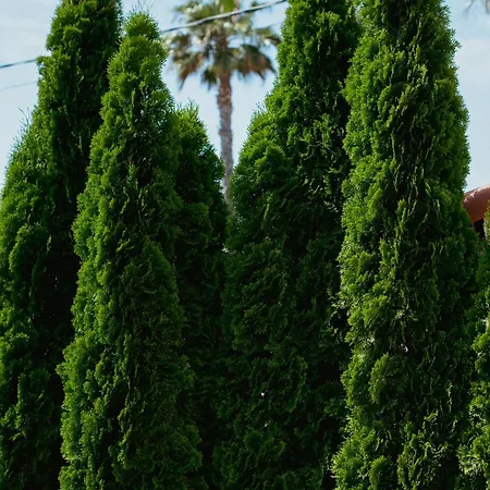 מלון Boutique Fabulite אנטיב