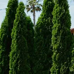 Hotel Boutique Fabulite Antibes