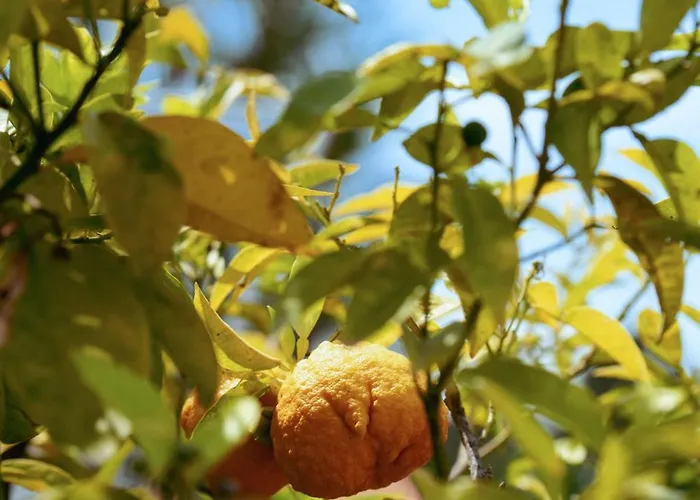 Boutique Fabulite Antibes